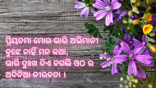 Odia love Shayari