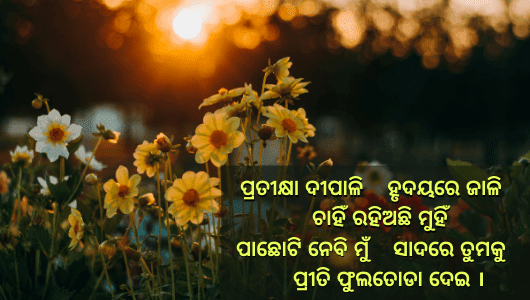 Odia Love Shayari Images