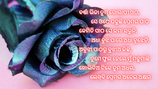 Love Shayari odia