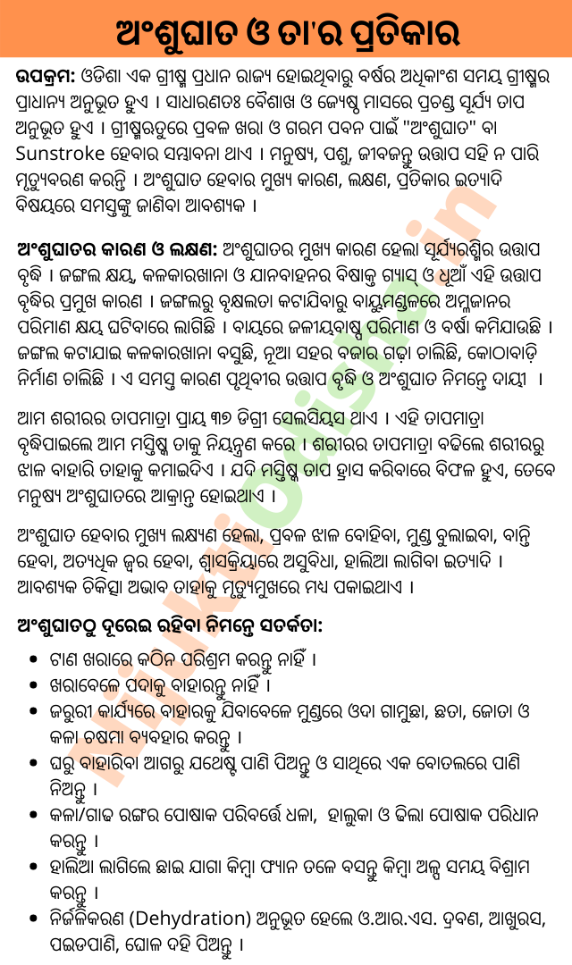 Ansughata Odia Essay