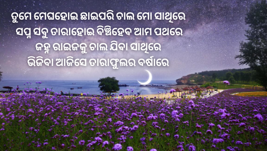 Odia Love Shayari image