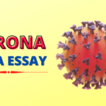 Corona Mahamari Odia Essay (Covid-19) PDF