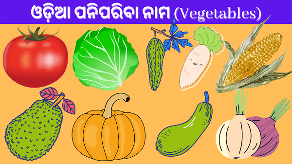 vegetables pictures with name in english