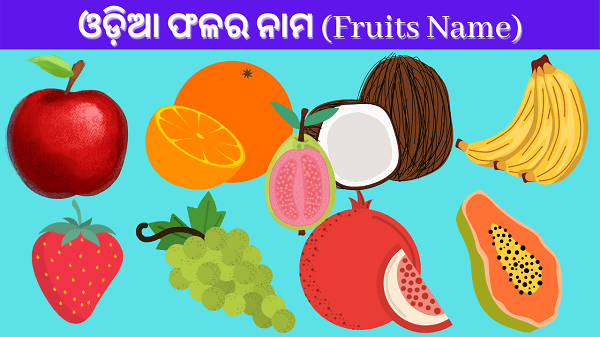 Fruits Name in Odia