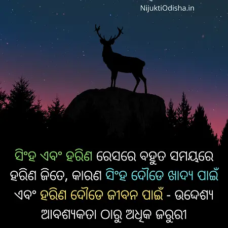 odia nitibani