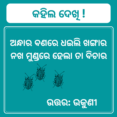 Odia paheli with answer