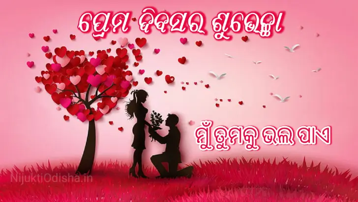 Happy Valentines day Odia Image